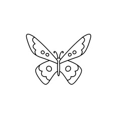 hand drawn butterfly line icon