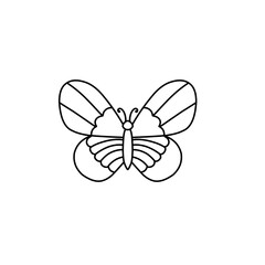 hand drawn butterfly line icon