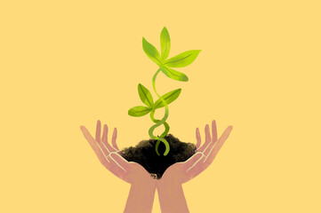 Illustration of hands holding a seedling symbolizing green energy and sustainability