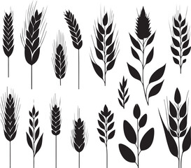 isolated black wheat icon Vector, black wheat Silhouette,black wheat icon set, black wheat  for logo,color wheat Vector illustration, Vector Graphic, EPS 10 , clip art work,