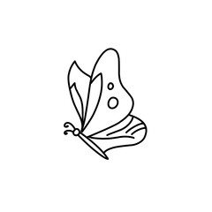 hand drawn butterfly line icon