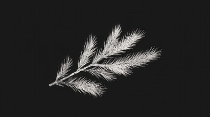 Obraz premium Elegant White Pine Branch on a Striking Black Background, Minimalist Botanical Illustration.