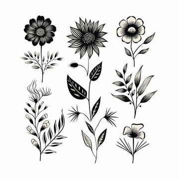 Adobe ilustrator leaf and tree design artwork