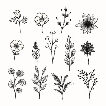 Adobe ilustrator leaf and tree design artwork