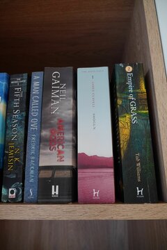 Row of novel books including Tad Williams