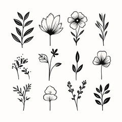 Adobe ilustrator leaf and tree design artwork