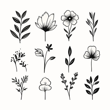 Adobe ilustrator leaf and tree design artwork