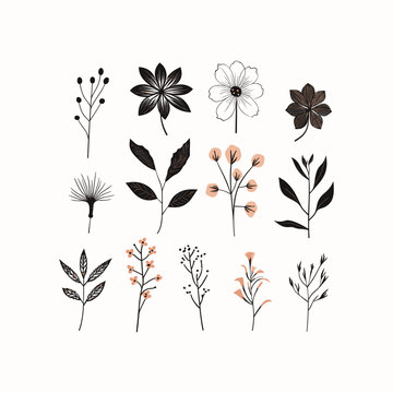 Adobe ilustrator leaf and tree design artwork