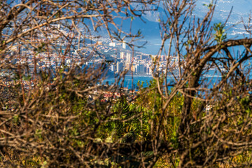 Paisaje con la costa de Tenerife de fondo.