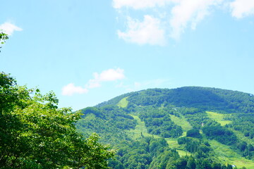 Obraz premium 湯沢高原のロープウェーに乗った先、アルプの里から見えた綺麗な景色