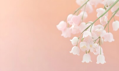 Fototapeta premium Bell-shaped flowers with soft, translucent petals in pastel pink colors. Generative AI