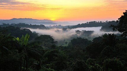 Sunset over a forested valley blanketed in layers of mist.