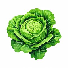 Fototapeta premium the AI Image Generator, Vivid Green Cabbage Botanical Illustration