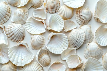 Numerous seashells arranged on a beige background, creating an interesting pattern with their...