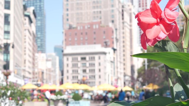 New York City, United States, Manhattan Midtown Broadway, 23 street, 5 avenue crossroad. Worth Square near Madison Park, Flatiron Building, USA. People on chairs, tables and umbrellas. Summer flowers. - Powered by Adobe