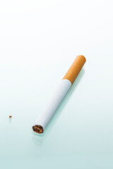 Lifestyle Concepts. Separate One Cigarette Placed Isolated Over White Background