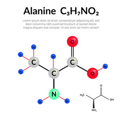 Alanine (Ala, A) amino acid amino acid, molecular structural chemical formula