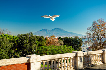 Naples, Italy. Vesuvius seen from a viewpoint