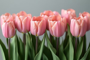 A bouquet of pink tulips arranged in a decorative vase