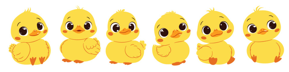A set of flat vector illustrations in cute childish style. Cute ducklings in different poses with big cute eyes. Vector illustration