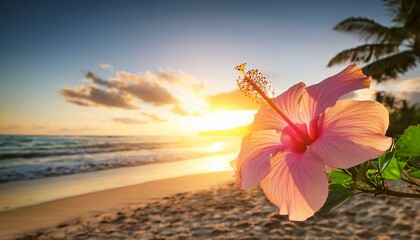 夏の美しい波打ち際の夕焼け空とハイビスカスの花