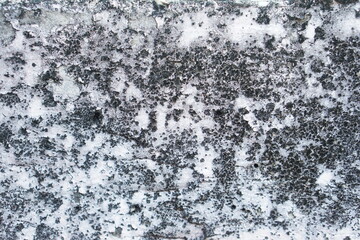 Cement wall covered in black mold spots background. Concept, Mold stains on concrete make wall dirty or damaged, need to clean or repaint for maintenance.