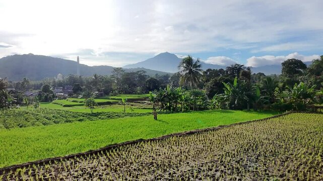 Mount Salak, Indonesia, Asia, Foothills, Rural Indonesia. Drone view
