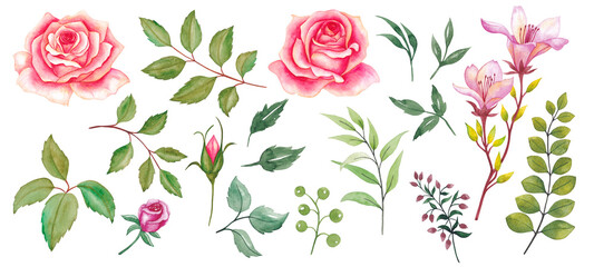 Set of flowers and leaves on a white background. Watercolor illustration.