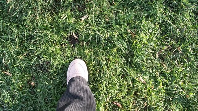 A pair of feet stepping on the green grass, the sound of snow city, a sunny day