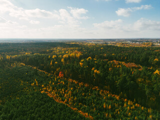Aerial look at colorful autumn forest