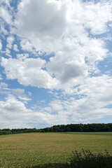 Feld in der Wetterau
