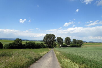 Feldweg in der Wetterau