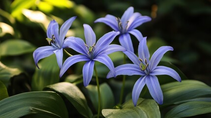 Five delicate blue flowers bloom amidst lush green leaves, capturing the beauty of nature in a serene setting.