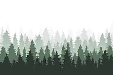 Fototapeta premium The forest landscape. Forest panorama with silhouettes of coniferous trees, pines, firs and fir trees. Background with evergreens. Foggy environment, landscapes.