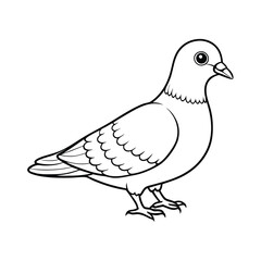 Fototapeta premium cute pigeon.eps