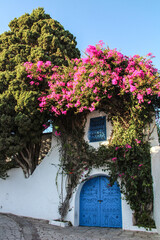 Blue door of traditional architecture of the coastal village of Sidi Bou Said in Tunisia in Africa