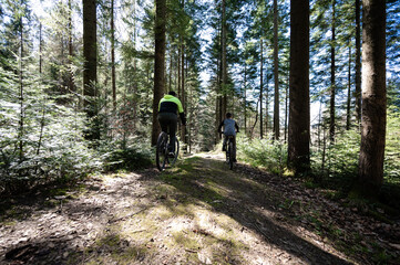 Mountain bikers enjoy a sunny day cycling through a lush forest. Sunlight filters through the trees, illuminating the path ahead. A serene and peaceful scene.