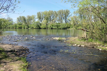 Muendung der Rodau in den Main