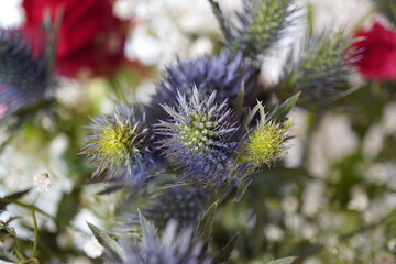 花束の中のエリンジウム