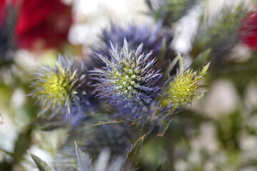 花束の中のエリンジウム