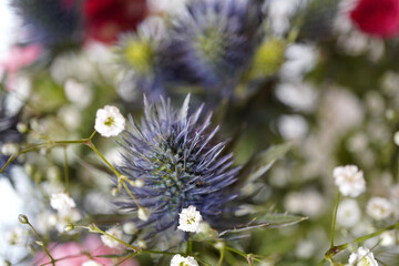 花束の中のエリンジウム