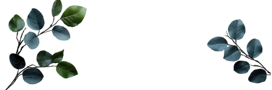 Elegant Green Leaves on Textured White Background Nature Design Botany