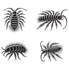 Monochrome Vector Silhouettes of the Springtail Flea Isolated on a White Background"