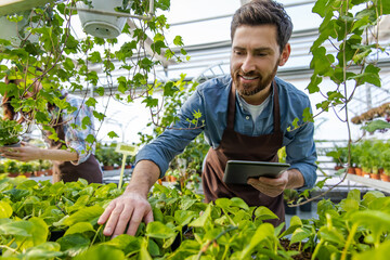 Male bearded greenhouse worker looking involved and busy