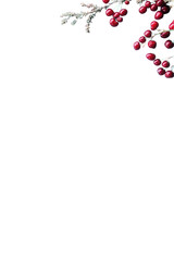 Vibrant red berries green branch transparent background nature close-up minimalist style