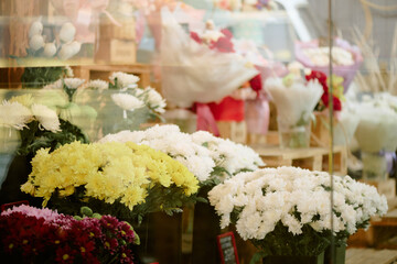Adorable different types of bouquets in flower shop