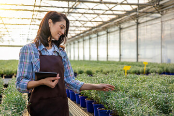 Female greenhouse worker checking the plants condition in a greenhouse