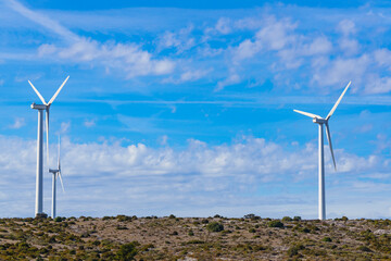 Wind turbine plant, power generator
