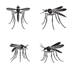 Vector Silhouettes of the Stilt-Legged Fly Isolated on a White Background