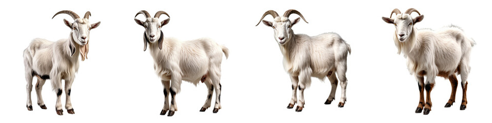  Playful goats posing in a charming lineup